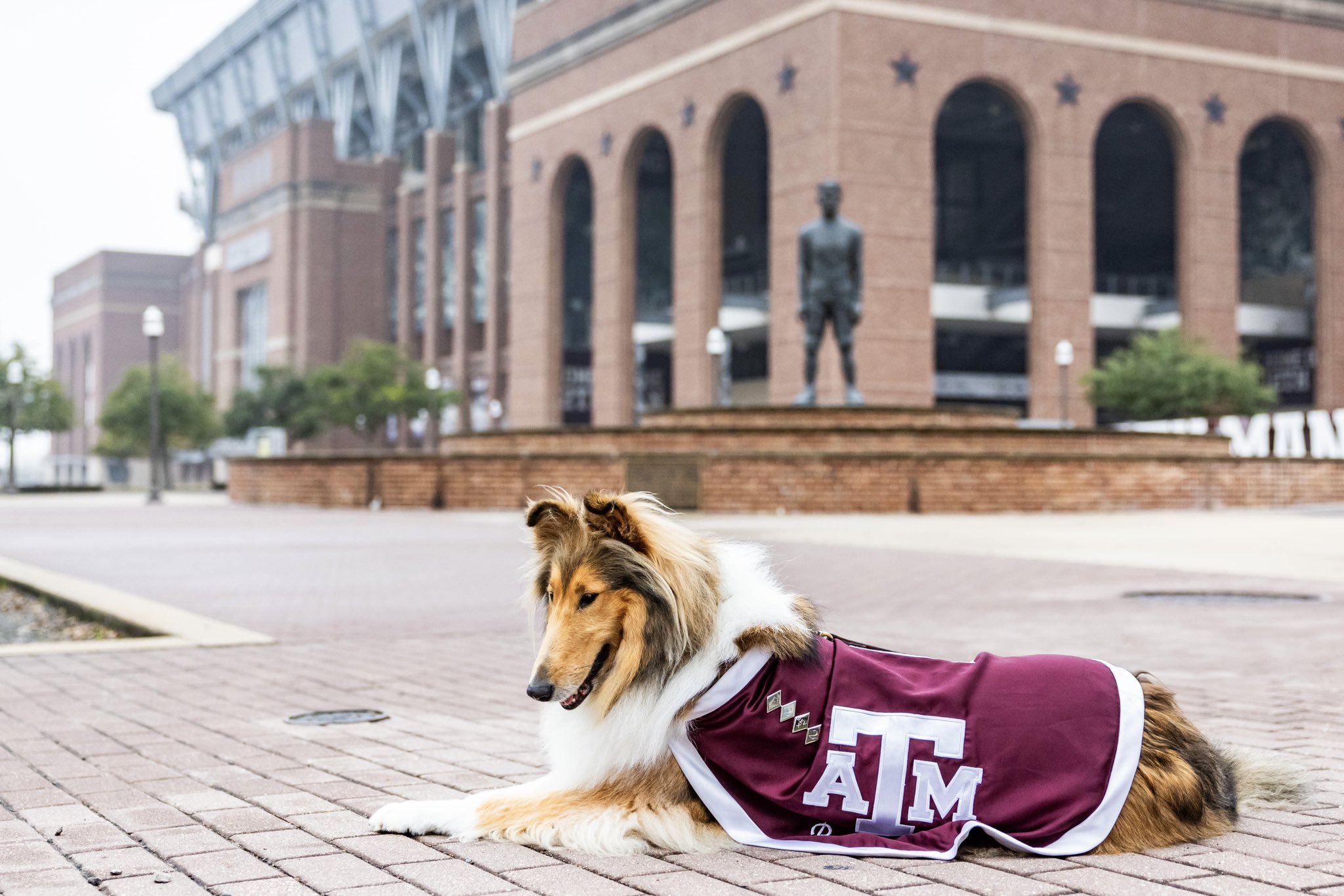 Texas A&M Campus